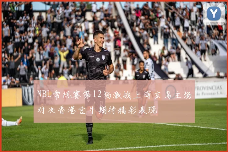 NBL常规赛第12场激战上海玄鸟主场对决香港金牛期待精彩表现